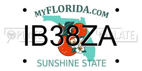 IB38ZA Florida License Plate