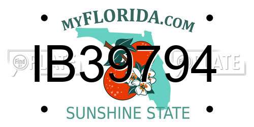 IB39794 Florida License Plate