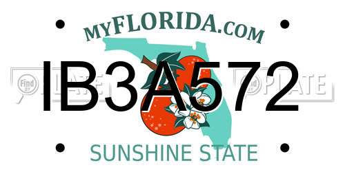IB3A572 Florida License Plate