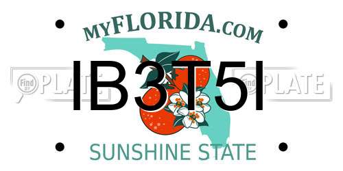 IB3T5I Florida License Plate