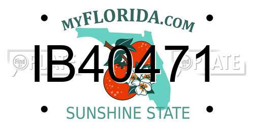 IB40471 Florida License Plate