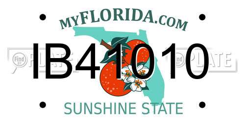IB41010 Florida License Plate