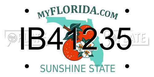 IB41235 Florida License Plate