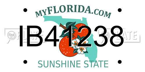 IB41238 Florida License Plate