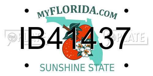 IB41437 Florida License Plate