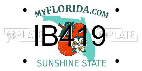 IB419 Florida License Plate