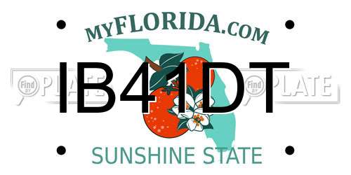 IB41DT Florida License Plate