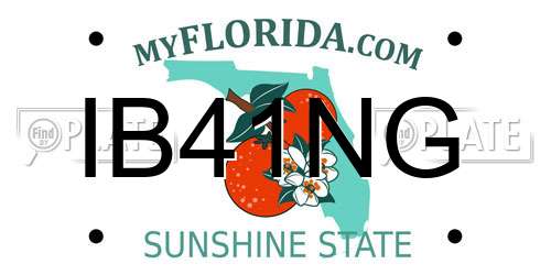 IB41NG Florida License Plate