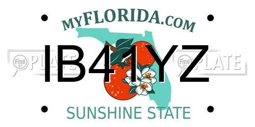 IB41YZ Florida License Plate