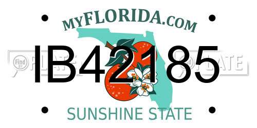 IB42185 Florida License Plate