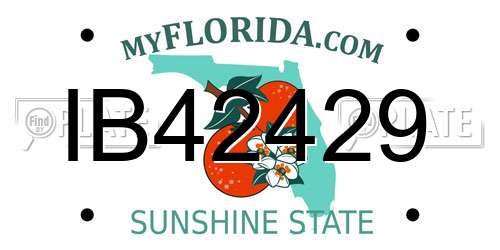 IB42429 Florida License Plate