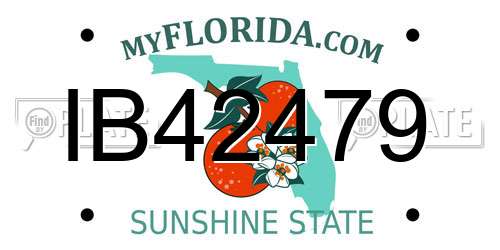 IB42479 Florida License Plate