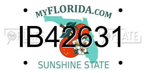 IB42631 Florida License Plate