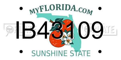 IB43109 Florida License Plate