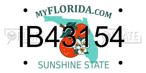 IB43154 Florida License Plate