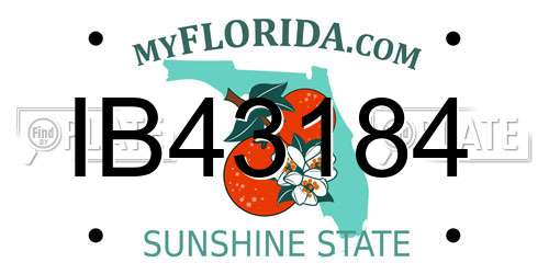 IB43184 Florida License Plate