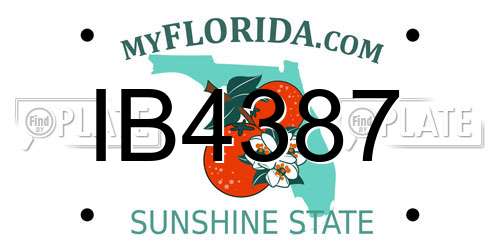 IB4387 Florida License Plate