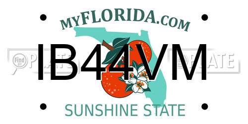 IB44VM Florida License Plate