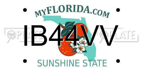 IB44VV Florida License Plate