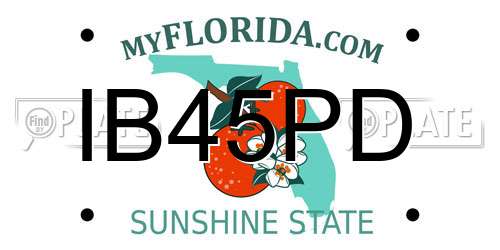 IB45PD Florida License Plate