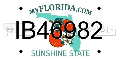 IB46982 Florida License Plate