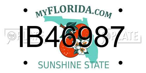 IB46987 Florida License Plate