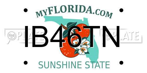 IB46TN Florida License Plate