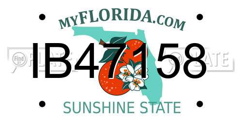 IB47158 Florida License Plate