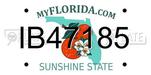 IB47185 Florida License Plate