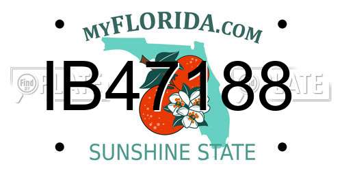 IB47188 Florida License Plate