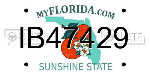 IB47429 Florida License Plate