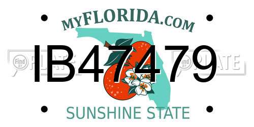 IB47479 Florida License Plate