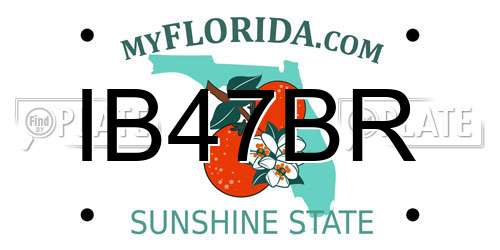 IB47BR Florida License Plate