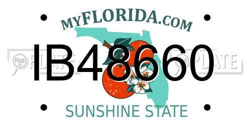 IB48660 Florida License Plate