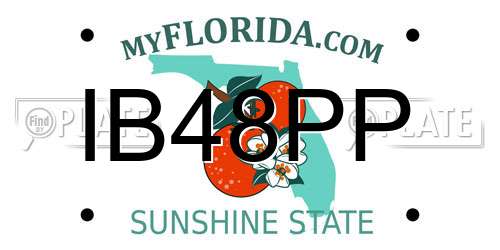 IB48PP Florida License Plate