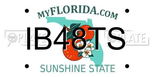 IB48TS Florida License Plate