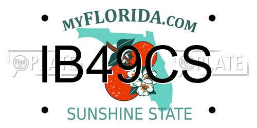 IB49CS Florida License Plate