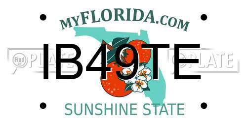 IB49TE Florida License Plate