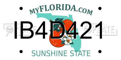 IB4D421 Florida License Plate