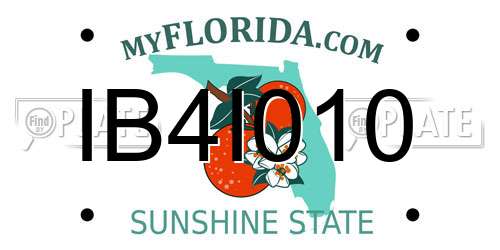 IB4I010 Florida License Plate