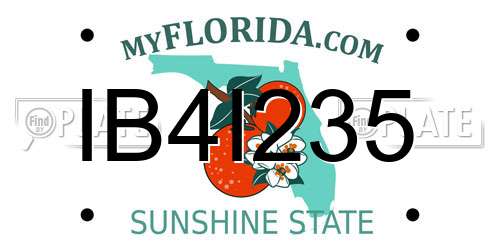 IB4I235 Florida License Plate