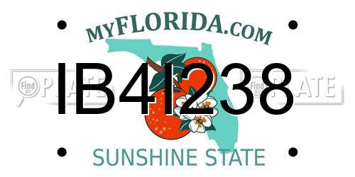 IB4I238 Florida License Plate