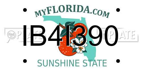 IB4I390 Florida License Plate