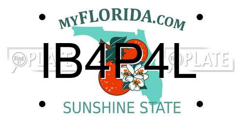 IB4P4L Florida License Plate