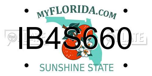 IB4S660 Florida License Plate