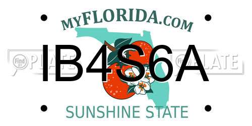 IB4S6A Florida License Plate