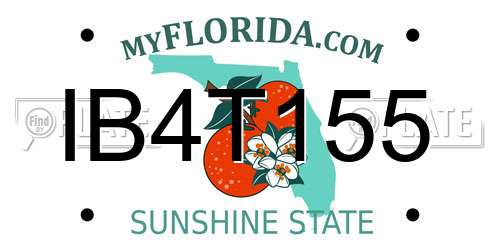 IB4T155 Florida License Plate