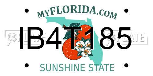 IB4T185 Florida License Plate