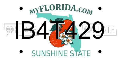 IB4T429 Florida License Plate