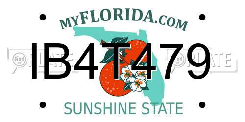 IB4T479 Florida License Plate